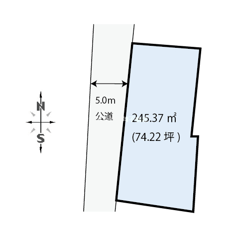 15675画像