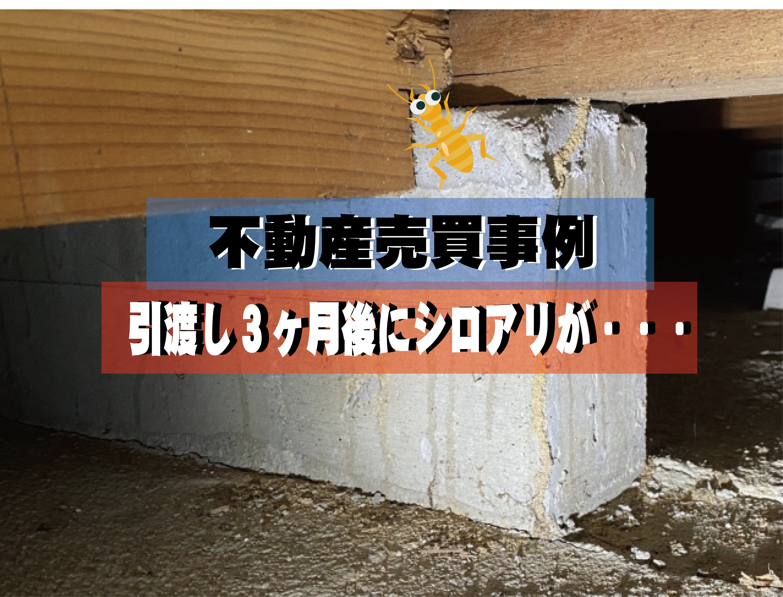 不動産売買事例　引渡し後3カ月後にシロアリが・・・